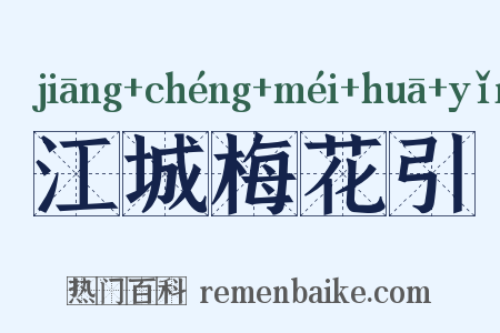 江城梅花引是什么意思的图片